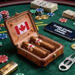 No KYC Bitcoin Casino in Canada: Anonymous Slots and Fast Payouts